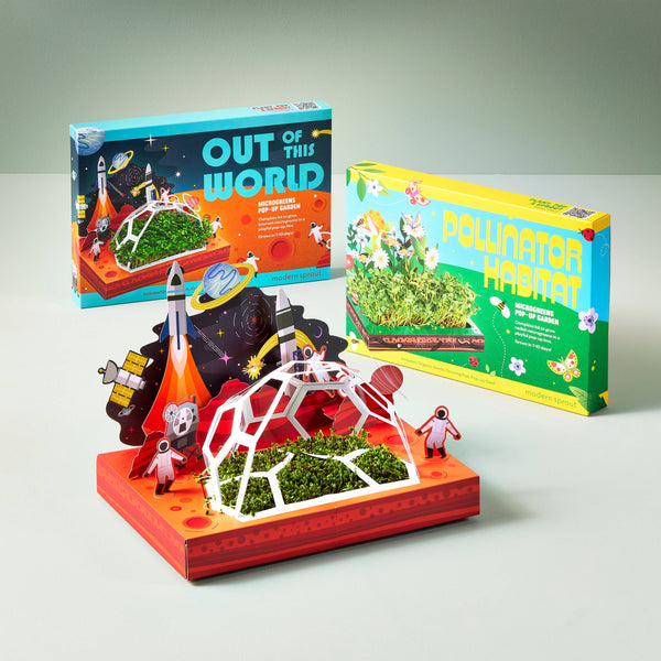 Microgreens DIY Kit - Broccoli